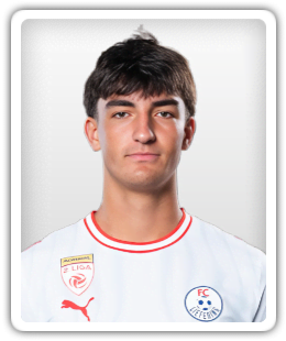 Nico Masching