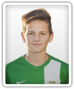 Amir Hadzic