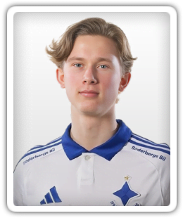 Hugo Ringsten