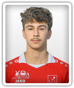 Dinis Jordao Machado