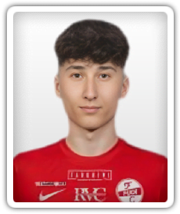 Dragoljub Arsenovic
