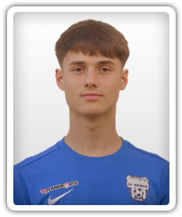 Eldar Suljic
