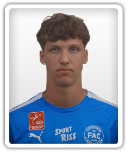 Niklas Hollerer