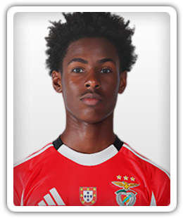 Leonardo Tavares