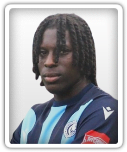 Nelson Ajayi