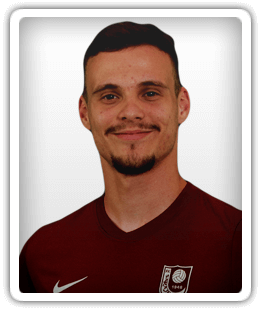 Hamza Bešic