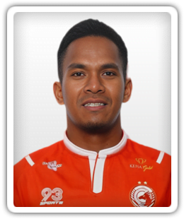 Muhd Arip Amiruddin
