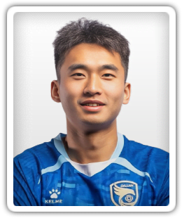 Lei Wenjie