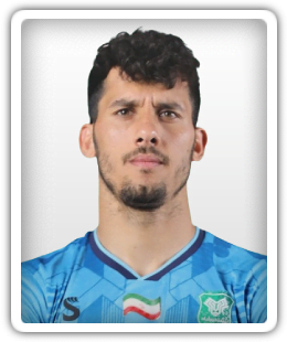 Hossein Pourhamidi