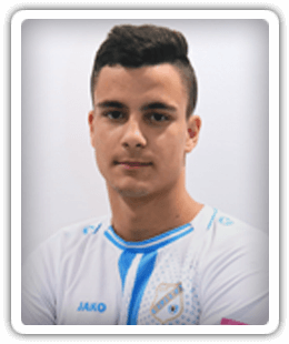 Luka Mikulica