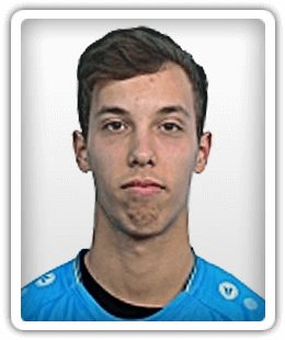 Dominik Krizanovic