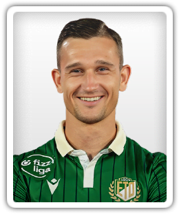 Daniel Štefulj