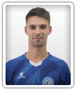 Luka Zdrilic