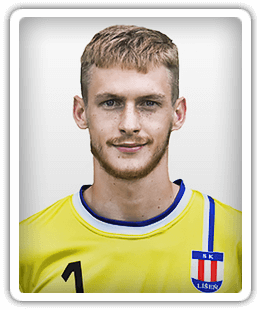 Vojtech Marek
