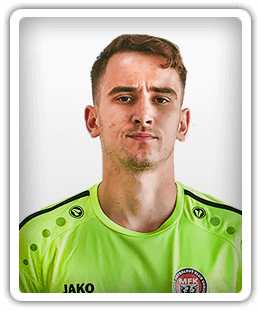 Daniel Gregovsky