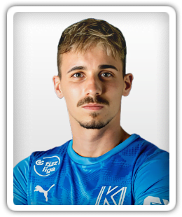 Kristóf Polgár