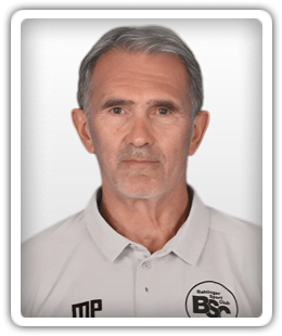 Milorad Pilipovic