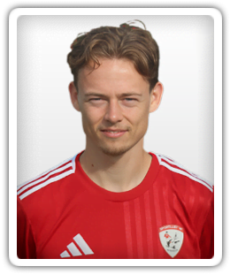 Wessel Meiring