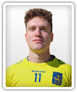 Stan van Dolleweerd