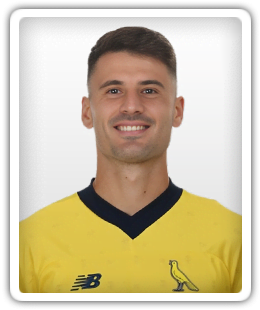 Fabio Gerli