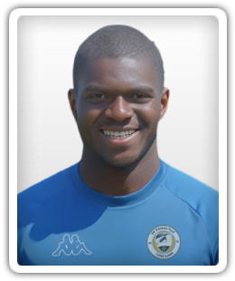 Wilfried Bedfian