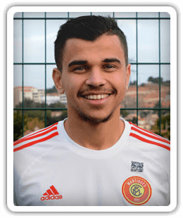 Mohamed Nehari