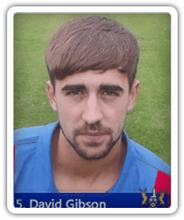 David Gibson