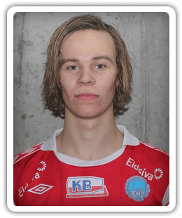 Robin Rostille