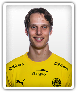 Ulrik Saltnes