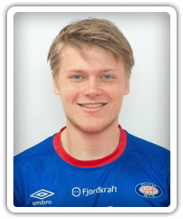 Harald Martin Hauso