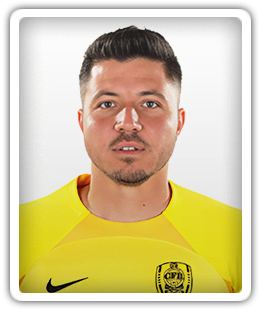 Cristian Balgradean