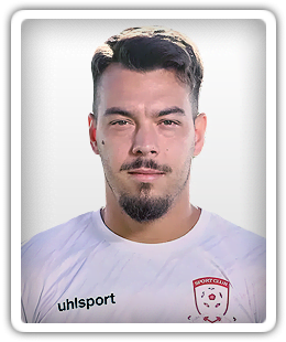 Mihai Neicutescu
