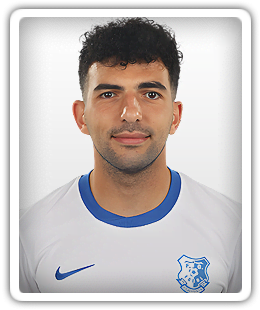 Narek Grigoryan