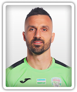 Milan Mitrovic