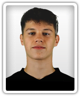 Nikola Šarcevic