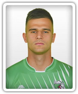 Slavoljub Dokic