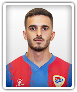 Vasilije Terzic