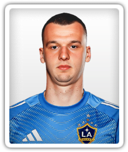 Novak Micovic