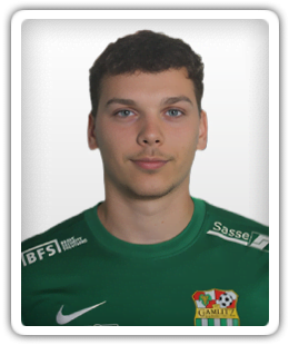 Fran Šlamberger