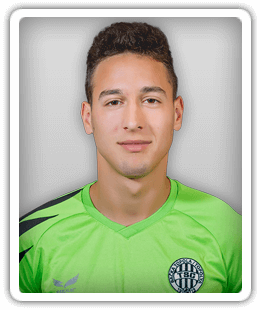 Jovan Mitrovic