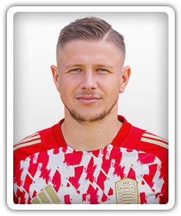 Dominik Veselovsky