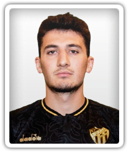 Ozan Ýsmail Koç