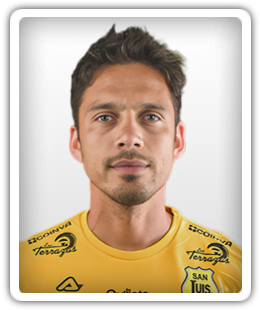 Luis Pavez Contreras