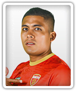 Ronal Huaccha