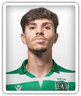 Bruno Falcão