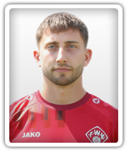 Dominik Meisel