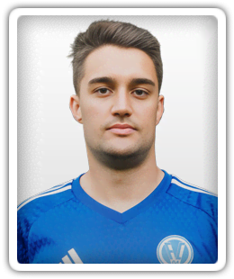 Luis Saul