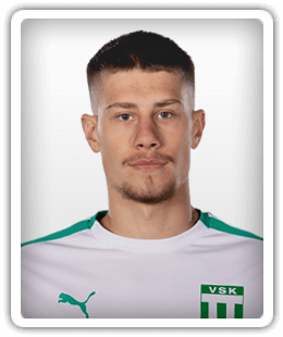 Viktor Steen